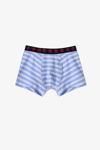 Penti Mavi Erkek Çocuk Çizgili Crab 3lü Boxer