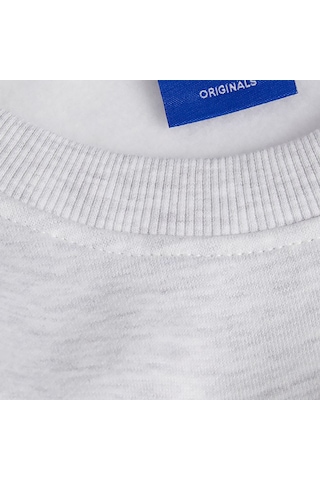 Açık Gri Jack & Jones Erkek Bisiklet Yaka Sweatshirts 12262880 001