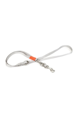 Beeztees Köpek Gezdirme Kayışı, Açık Gri, 120cm, 20mm Çok Renkli