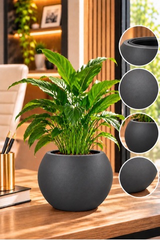 Antrasit Yuvarlak Dekoratif Saksı 20x20 Cm İç Saksılı Modern Salon Ve Balkon Saksısı 9 Litre -
