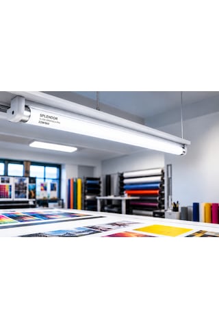 Splendor Tl-d90 Graphica 22w/965 Floresan 150 Cm