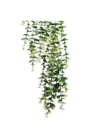 Özel Tasarım İki Renkli Elmas Siyah Saksılı Beyaz - Yeşil Okaliptus Sarkıtı Beyaz-Yeşil