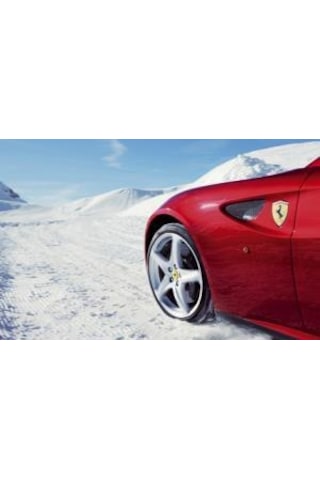 Shell Coolant Longlife M Concentrate Kırmızı Antifiriz 3 L