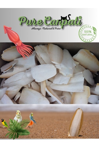 Purecanpati Kırıklı Iri Boy Kalamar Kemiği 100 G