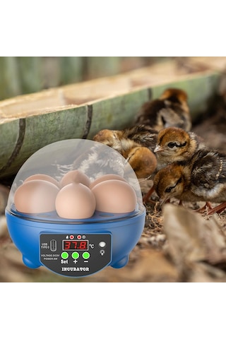 Suntek Yumurta Kuluçka Makineleri Otomatik Civciv Kuluçka