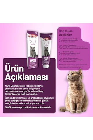 Yetişkin Kedi Multi Paste 100 G - 48 Adet