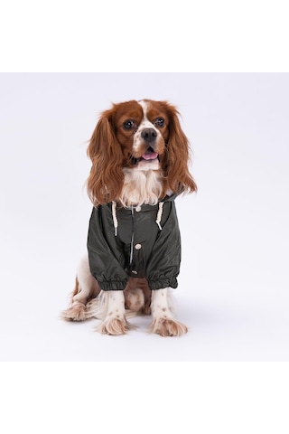 Pettrend Haki Mont Köpek Mont Köpek Kıyafeti Köpek Yağmurluğu