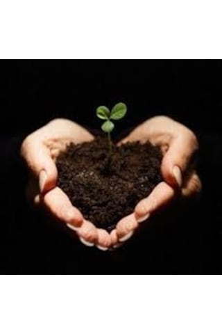 5 KG Organik Doğal Bitki Gübresi Toprak Düzenleyici Gübre