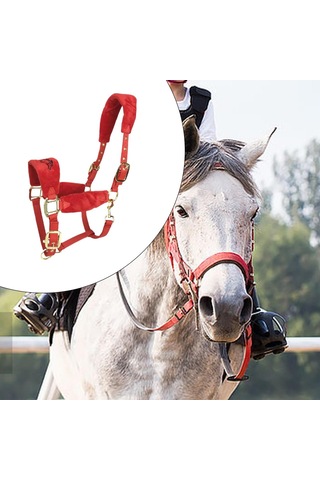 Homyl At Yuları Yastıklı Ayarlanabilir Kırmızı-m Kırmızı M