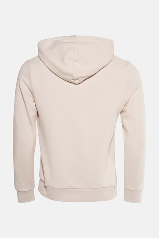Jack & Jones Erkek Sweat 12284474 Taş Taş