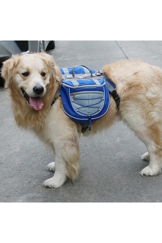 Sones Sırt Çantasının Dışındaki Köpekler İçin Kendinden Taşınabilir Sırt Çantası Nefes Alabilir Örgü Pet Çanta