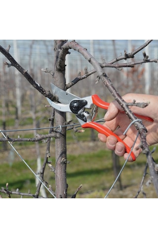 Felco 2 Budama Makası - 110220 Sağ By-Pass