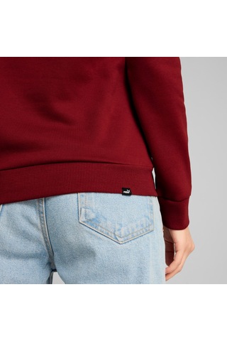 Puma Ess Logo Lab Kadın Bordo Kapüşonlu Hoodie Bordo