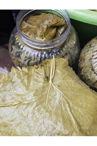 Tokat Sarım Erbaa Salamura Asma Yaprağı 5 KG