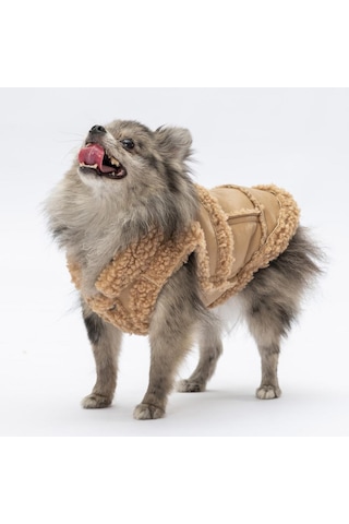 Bej Churchill Yelek Köpek Yeleği Köpek Kıyafeti Köpek Yağmurluk