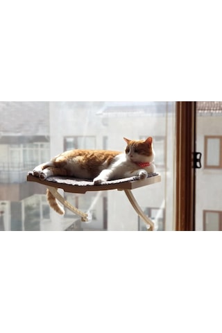 Ayrex Yeni Model Cam Ve Duvar İçin Kedi Yatağı Vantuzlu