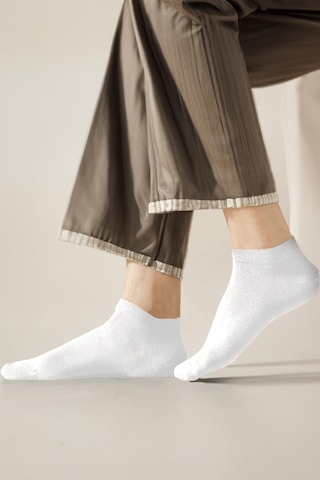 Bilek Boy Pamuklu Patik Çorap Unisex 6 Çift 001