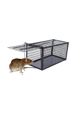 Fare Kapanı Büyük Kafes