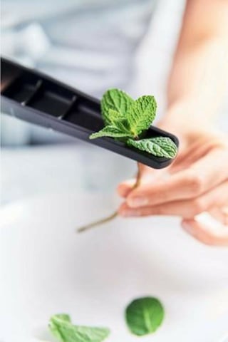 Tupperware Sarımsak Ez