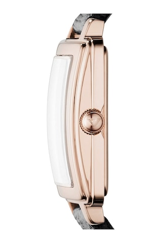 Emporio Armani AR11067 Kadın Kol Saati