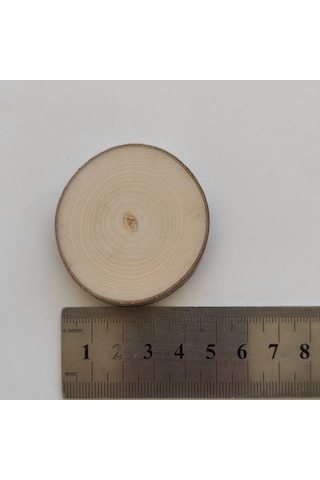 25 Adet Boyanabilir Hediyelik Anahtarlık Kütük Dilimi 3-5 Cm-boş