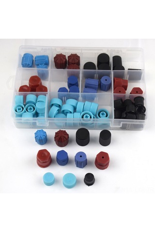 Ranyeek Otomobil Klima Bakım Tulumu, 77 Adet Standart Servis Port Kapakları, Çoğu Model Uyumlu, Kolay Kurulum, Dayanıklı Abs Malzeme, Saklama Kutusu İçerir