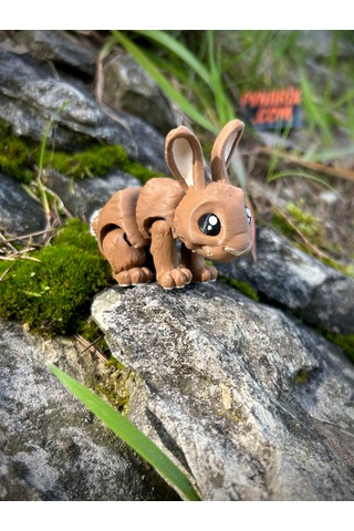 Yaban Tavşanı Figür Oyuncak 3d Hareketli Organik Vip Model - Orta