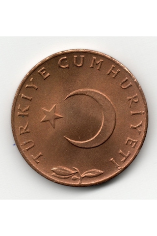 5 Kuruş 1973 Çil Eski Madeni Para