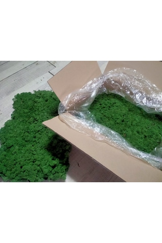Trend Bahçe Reindeer Moss Forest Green Şoklanmış Norveç Yosunu 4 KG