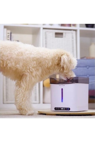 Aclıum Sensörlü Köpek Su Sebili 2,4 L
