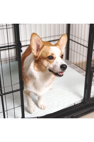 Köpekler İçin Yıkanabilir Pee Pedleri, 2'li Paket Yeniden Kullanılabilir Köpek Pedleri Su Geçirmez Pet Whelping Pedi, 34 X 36 Yüksek Emici Lazımlık Eğitimi Sandık Oyun Parkı Köpek Kulübesi