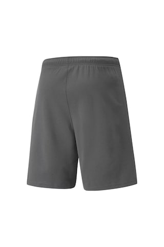 Puma Teamrise Short Erkek Şortu 70494213 Gri