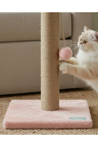 Reyo Pet Kedi Tırmalama Tahtası Pembe 42 Cm