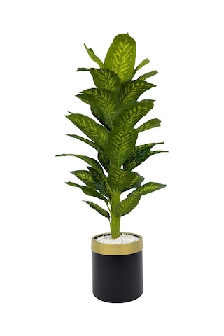 Biçiçek Yapay Di̇fenbahya 170 Cm Si̇yah Gold Metal Saksıda