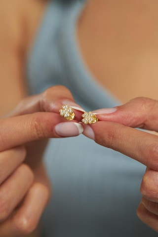 Zirkon Taşlı Gold Yonca Minimal Çivili Gümüş Küpe Gümüş