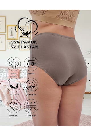 Alya Underwear Kadın Extra Battal Külot - 5 Adet Beyaz 8xl, 9xl, 10xl Çok Renkli P20