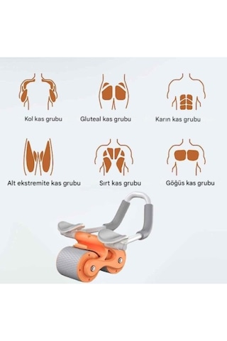 Periboia Ab Roller Karın Kası Egzersiz Tekerleği Çok Renkli