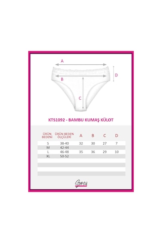 Sensu Kadın Özel Kumaş Bambu Beli Dantelli 3'lü Külot Set Model-5 Model5