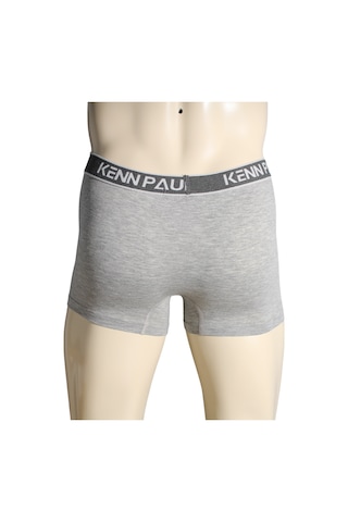 Kenn Paul S- 6xl Gri Düz Pamuklu Lüks Boxer Yumuşak Büyük Beden Çok Renkli