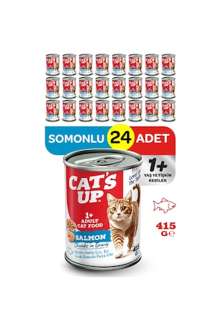 Cats Up Yaş Yetişkin Kedi Maması Somonlu 415gr 24lü