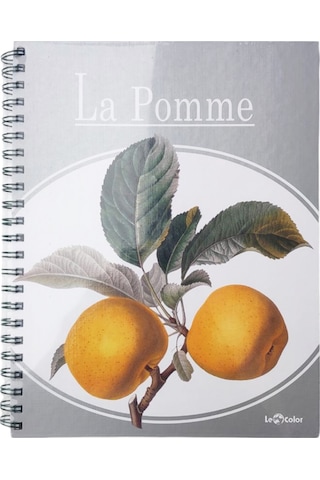 Le Color Elma Desen 2+1 Kareli & Çizgili 235x300 Spiralli Defter