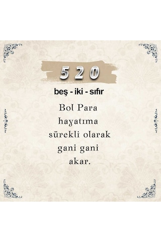 520 Para Sayı Sekansı Anahtarlık M4
