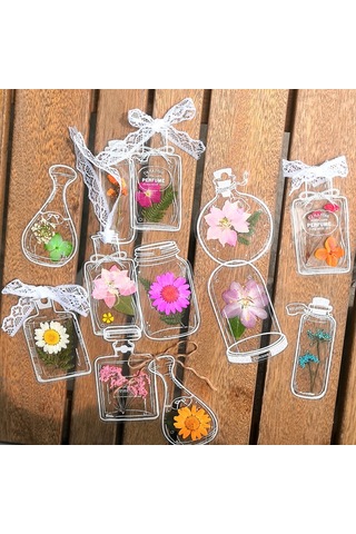 Dianziye Öğrenci Ve Çocuklar İçin El Yapımı Bitki Örnekleri Yapım Seti - Şeffaf Malzeme, Paslanmaz Çelik Pinçer Ve Sütlü Boyalar