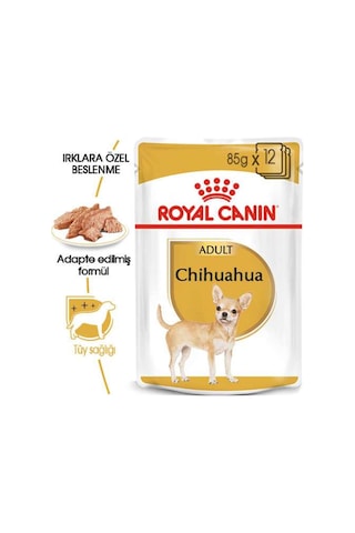 Royal Canin Chihuahua Irkı Yetişkin Köpek Maması 85 G