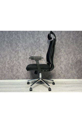 Leon Fileli Yönetici Koltuğu