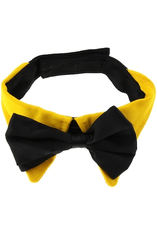 Homyl Ayarlanabilir Pet Köpek Tasması Köpekler Turuncu-s Turuncu