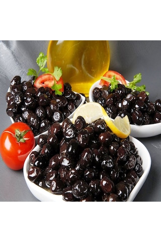Tüplü Salamuralık Gemlik Trilye Zeytin Fidanı