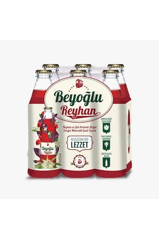 Beyoğlu Gazoz Reyhan 24 x 250 ML