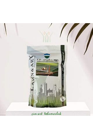 Kamışsı yumak Festuca arundinacea 1 kg Kamışsı yumak Festuca arundinacea 1 kg