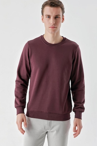 Slimfit Bisiklet Yaka Düz Renk 2 İplik Erkek Sweatshirt 001